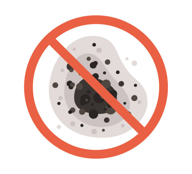 Best Mold Remediation for Healthcare Facilities  in Westport, NC